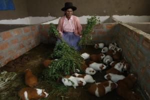 Más de 5.6 millones de peruanos son beneficiados por los programas e intervenciones sociales del Midis