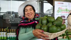 Más de 70 mil familias se dedican al cultivo de palta en Perú