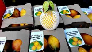 Más de 800 turistas descubrieron la ‘Ruta de la Granadilla’ en Jauja