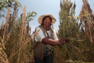 Más de medio millón de mujeres ocupan actividades agropecuarias en el país