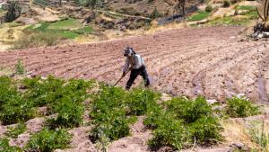 Más de un millón de productores se beneficiarán con proyecto ‘andenes y paisajes culturales productivos’