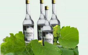 Más regiones buscan obtener denominación de origen Pisco