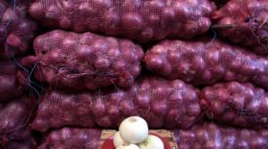 Mayo: exportaciones peruanas de cebolla llegan a 276 toneladas