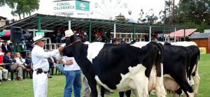 <span class='highlight'></span>M<span class='highlight'></span>e<span class='highlight'></span>d<span class='highlight'></span>i<span class='highlight'></span>d<span class='highlight'></span>a<span class='highlight'></span>s<span class='highlight'></span> <span class='highlight'></span>d<span class='highlight'></span>e<span class='highlight'></span>l<span class='highlight'></span> <span class='highlight'></span>G<span class='highlight'></span>o<span class='highlight'></span>b<span class='highlight'></span>i<span class='highlight'></span>e<span class='highlight'></span>r<span class='highlight'></span>n<span class='highlight'></span>o<span class='highlight'></span> <span class='highlight'></span>a<span class='highlight'></span>p<span class='highlight'></span>u<span class='highlight'></span>n<span class='highlight'></span>t<span class='highlight'></span>a<span class='highlight'></span>n<span class='highlight'></span> <span class='highlight'></span>a<span class='highlight'></span> <span class='highlight'></span>e<span class='highlight'></span>l<span class='highlight'></span>e<span class='highlight'></span>v<span class='highlight'></span>a<span class='highlight'></span>r<span class='highlight'></span> <span class='highlight'></span>i<span class='highlight'></span>n<span class='highlight'></span>g<span class='highlight'></span>r<span class='highlight'></span>e<span class='highlight'></span>s<span class='highlight'></span>o<span class='highlight'></span>s<span class='highlight'></span> <span class='highlight'></span>d<span class='highlight'></span>e<span class='highlight'></span> <span class='highlight'></span>g<span class='highlight'></span>a<span class='highlight'></span>n<span class='highlight'></span>a<span class='highlight'></span>d<span class='highlight'></span>e<span class='highlight'></span>r<span class='highlight'></span>o<span class='highlight'></span>s<span class='highlight'></span> <span class='highlight'></span>e<span class='highlight'></span>n<span class='highlight'></span> <span class='highlight'></span>4<span class='highlight'></span>0<span class='highlight'></span>%<span class='highlight'></span>