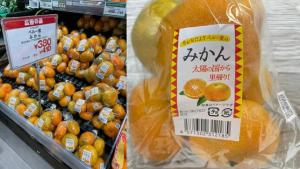 Medios japoneses celebran la llegada de mandarinas Satsumas importadas de Perú