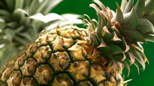 Mercado mundial de la piña alcanzaría los US$ 35.340 millones en 2028