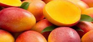 Mercado mundial del mango crecerá un 5% anual hasta 2029