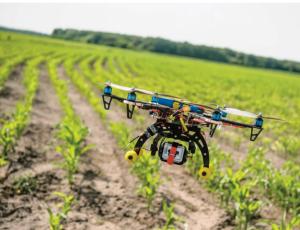 Mercado potencial de aplicación de drones para la agricultura es de US$ 32.400 millones