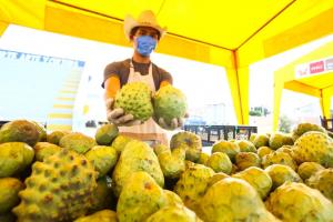 Mercados De la Chacra a la Olla generan S/ 5.8 millones en ventas para productores de zonas rurales