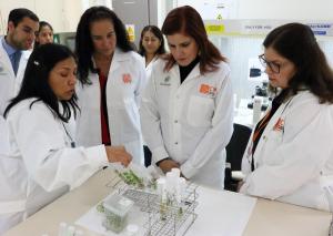 Mercedes Aráoz: “La papa es un regalo del Perú y todos debemos trabajar para preservarla”