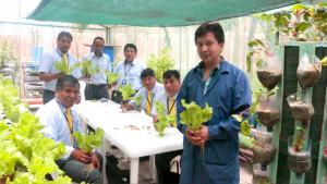 Metropolitano: conductores son capacitados para implementar biohuertos en sus hogares