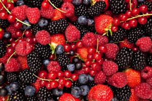 México aspira a crecimiento sostenido de 20% anual en producción de berries