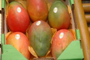 MÉXICO EXPORTARÍA 5.5 MILLONES DE CAJAS DE MANGO