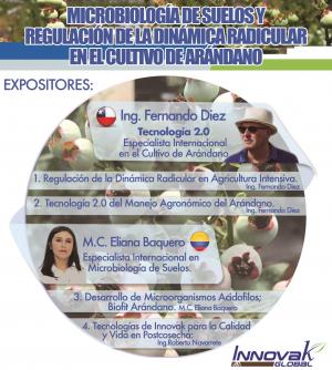 MICROBIOLOGÍA DE SUELOS Y REGULACIÓN DE LA DINÁMICA RADICULAR EN EL CULTIVO DE ARÁNDANO