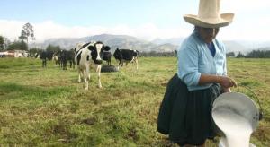 Midagri adoptará medidas de apoyo al sector ganadero de Arequipa afectado por los ataques contra empresas procesadoras de leche