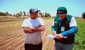 Midagri alista finalización de Encuesta Nacional Agraria en La Libertad