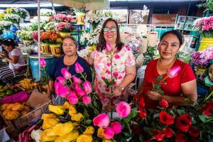 Midagri anuncia campaña “Por un Perú que florece”