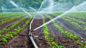 Midagri aprobó reglamento de Ley de Riego Tecnificado