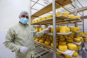 Midagri articula con ganaderos de Ayacucho producción de quesos para conquistar mercado de Brasil