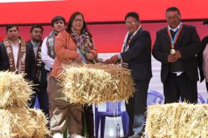 Midagri entrada un millón y medio de kilos de alimento para el ganado en Puno