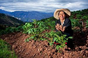 Midagri invertirá S/ 71.1 millones para pastos cultivados y Planes de Negocio