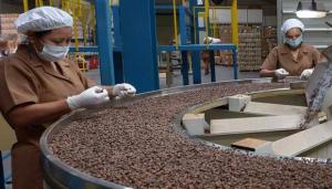 Midagri: Perú exportó 3.5 millones de sacos de café en 2020