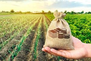 Midagri promueve sistema financiero agrario donde los incentivos, subvenciones, créditos, seguros y financiamiento se articulen a la política agraria