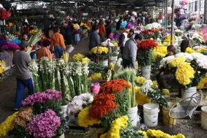 Minagri admite producción y comercialización de flores de cara a la celebracion del Día de la Madre
