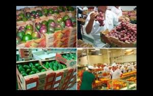 Minagri: Agroexportaciones peruanas crecieron 8% durante enero-mayo del presente año