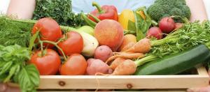 Minagri aprueba nuevo fungicida "híbrido"