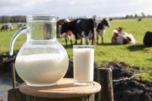 Minagri busca que consumo per cápita de leche alcance los 96 litros en 2021