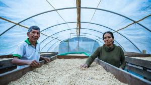 Minagri ejecutará 50 nuevos proyectos de innovación para potenciar 22 cadenas productivas