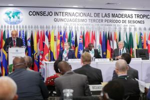 Minagri: La meta del sector es recuperar 3 millones de hectáreas degradadas de plantaciones forestales