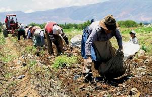 Minagri reestructura fondo AgroPerú para acelerar créditos a pequeños productores del país