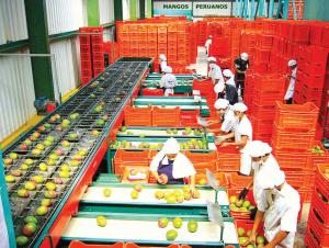 Minagri reunirá al sector público y privado en la nueva Mesa Ejecutiva para la Agroexportación