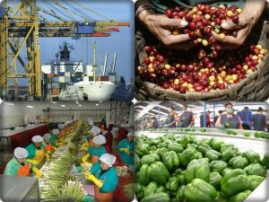 Mincetur: Agroexportaciones peruanas superarían los US$ 9.600 millones al cierre del año