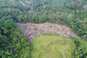 Ministros de agricultura y ambiente de la región analizarán restauración de tierras degradadas