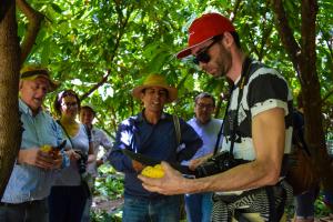 Misión de empresarios europeos y asiáticos conocen prestigioso cacao peruano