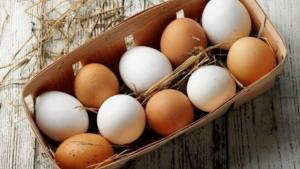 Mitos, verdades y diferencias entre los huevos blancos y los de color