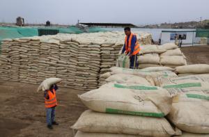 Moquegua: pequeños agricultores podrán comprar guano de las islas a bajo precio