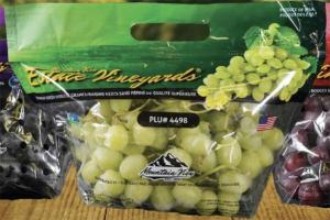 Mountain View amplía su programa de uva peruana con tres nuevas variedades