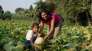 Mujeres producen la mitad de los alimentos del mundo, pero sólo un 4% recibe ingresos propios por ese trabajo