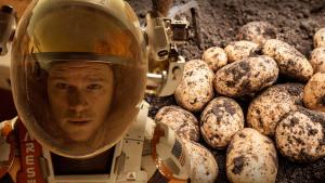 <span class='highlight'></span>N<span class='highlight'></span>A<span class='highlight'></span>S<span class='highlight'></span>A<span class='highlight'></span> <span class='highlight'></span>P<span class='highlight'></span>L<span class='highlight'></span>A<span class='highlight'></span>N<span class='highlight'></span>E<span class='highlight'></span>A<span class='highlight'></span> <span class='highlight'></span>L<span class='highlight'></span>L<span class='highlight'></span>E<span class='highlight'></span>V<span class='highlight'></span>A<span class='highlight'></span>R<span class='highlight'></span> <span class='highlight'></span>P<span class='highlight'></span>A<span class='highlight'></span>P<span class='highlight'></span>A<span class='highlight'></span>S<span class='highlight'></span> <span class='highlight'></span>P<span class='highlight'></span>E<span class='highlight'></span>R<span class='highlight'></span>U<span class='highlight'></span>A<span class='highlight'></span>N<span class='highlight'></span>A<span class='highlight'></span>S<span class='highlight'></span> <span class='highlight'></span>A<span class='highlight'></span> <span class='highlight'></span>M<span class='highlight'></span>A<span class='highlight'></span>R<span class='highlight'></span>T<span class='highlight'></span>E<span class='highlight'></span>