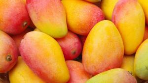 National Mango Board reconoce a Weis Markets como Minorista de Mango del Año