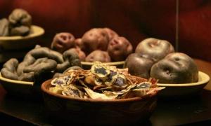 “Necesitamos mejorar el ecosistema innovador en el sector agrario”