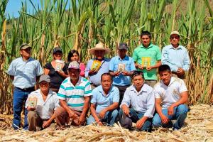 Norandino ayudará a damnificados de la costa norte afectados por lluvias y huaicos