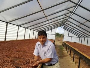 Norandino inicia la venta de cacao para uso cosmético y medicinal