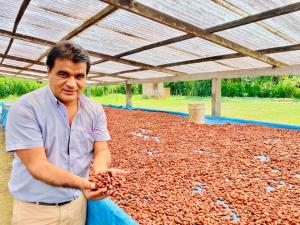 Norandino proyecta instalar planta de procesamiento para obtener cobertura de cacao y chocolate