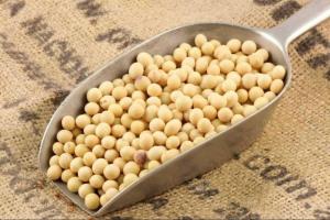 Notable incremento en la importación de soya en grano durante el primer bimestre