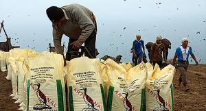 Nueva crisis de fertilizantes: La alternativa de los biofertilizantes en el Perú